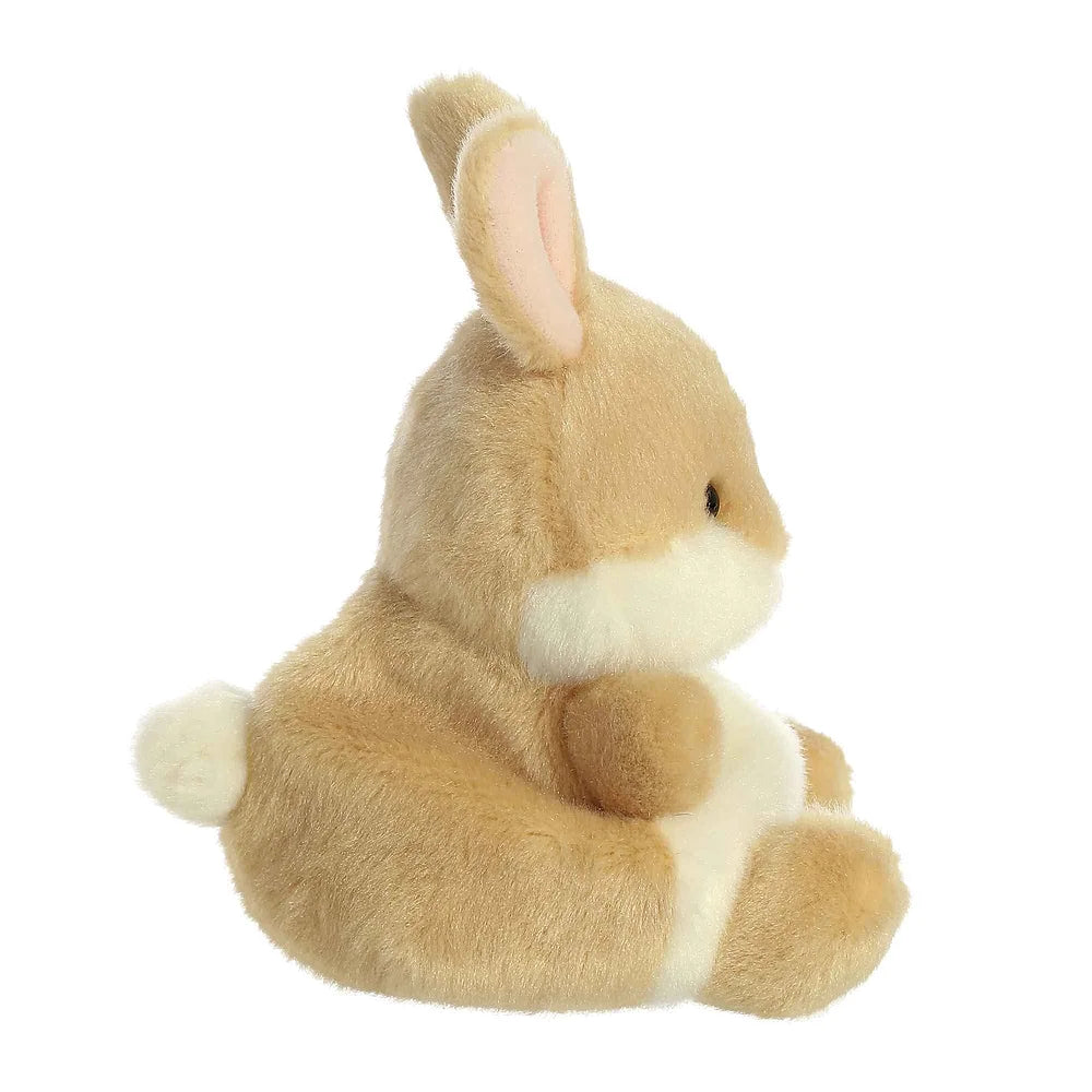 schattig konijn met grote oortjes en zachte vacht