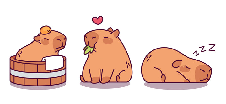 Capibara hype 🐾 ontdek waarom dit dier zo populair is ✨