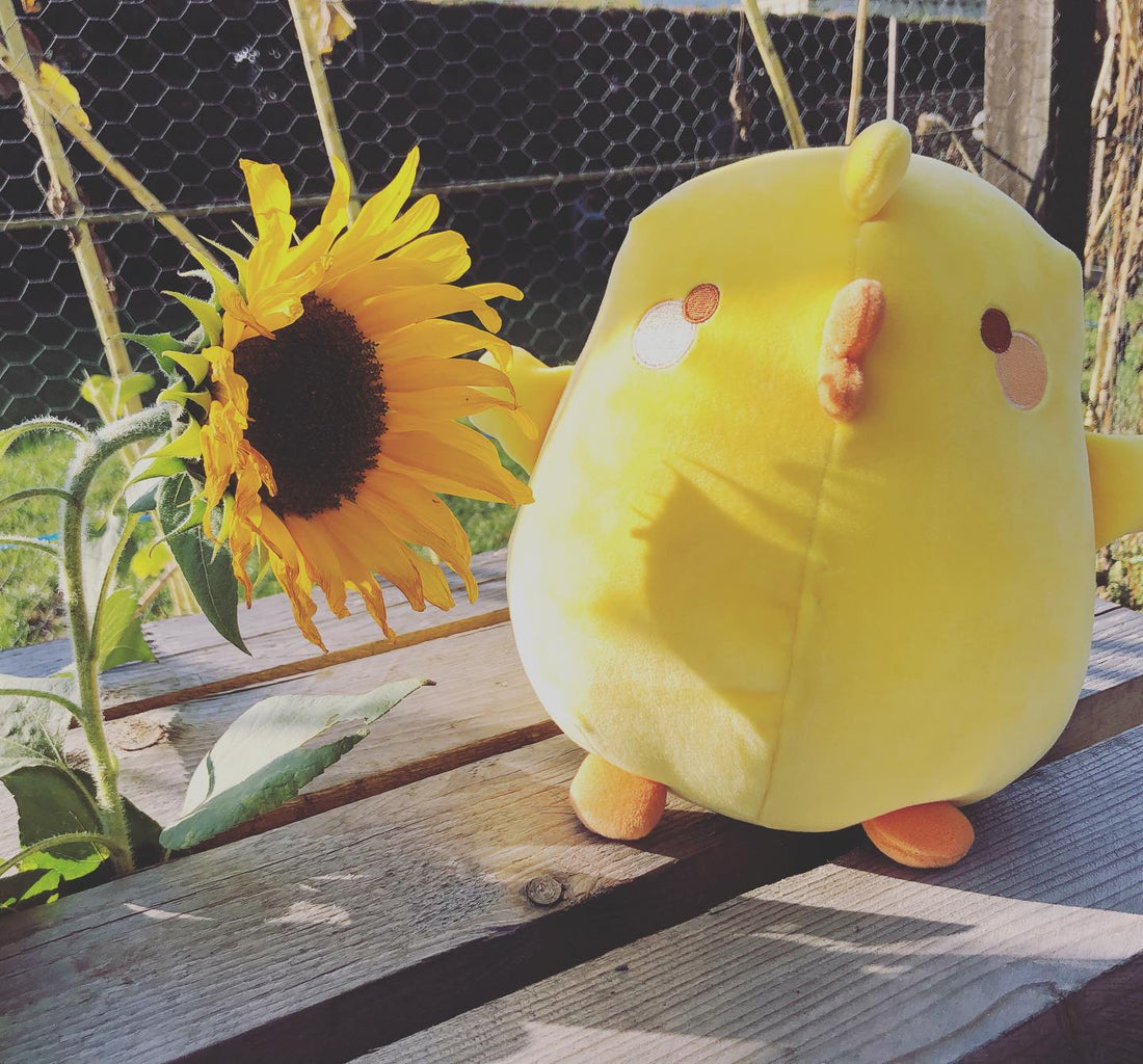 Het verhaal achter Nippon Kawaii: van fleece mutsen tot dé knuffel-specialist van Nederland