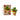 Money Tree mini bricks – kawaii Forest Spirit boompje met Japans geluk-symbool