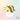 funny bees sticker van cutiesquad met wit bloementje
