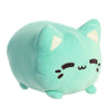 mintgroene Meowchi knuffel close-up