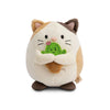 Angy Mymochi kat met cactus moodi close-up